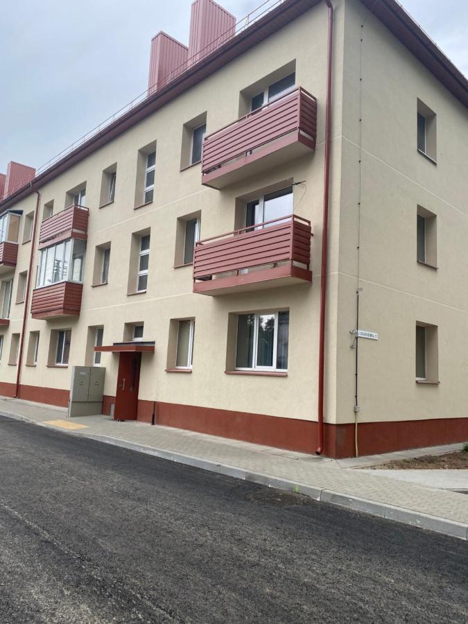 Studio Flat In Kėdainiai Екстериор снимка